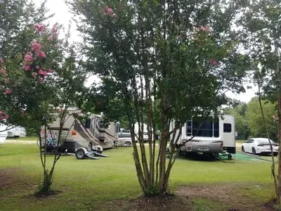 RV sites framed by blooming crepe myrtle trees
